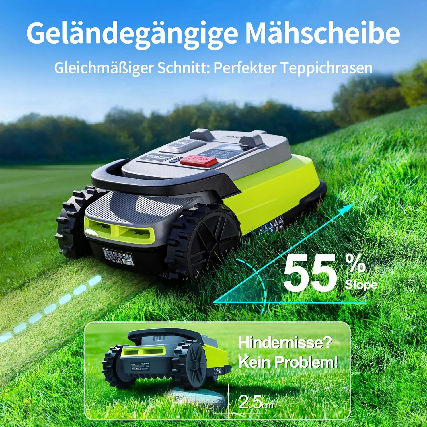 M10 im Kaufcheck: Für wen der Mähroboter mit Vision+RTK Fusion-Mapping wirklich Sinn ergibt