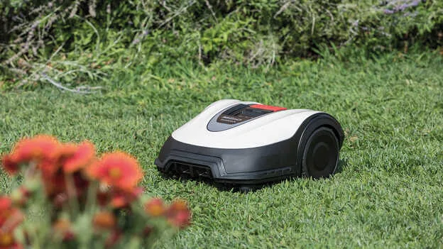 Honda Miimo 70 Live šikmo z prednej strany v záhrade